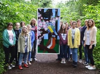 Windows made by Forest students give RSPB reserve a natural lightshow