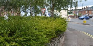 Volunteers gather to tidy an area of local concern