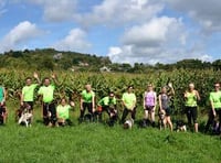 Forest of Dean Canicross runners beat the maize