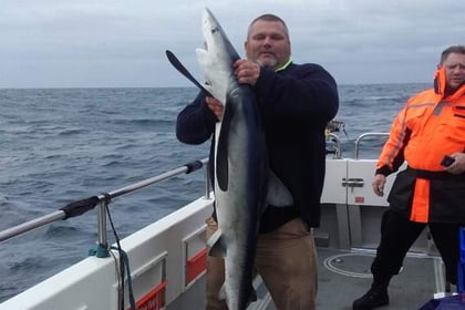 Ross-on-Wye anglers hook a shark