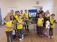 Bridstow Brownies learn about Marine Conservation