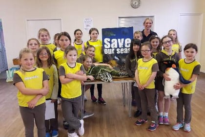 Bridstow Brownies learn about Marine Conservation