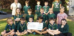 Walford cubs raise funds for Cancer Research UK