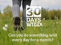 Go wild for 30 days with the Wildlife Trust