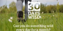 Go wild for 30 days with the Wildlife Trust