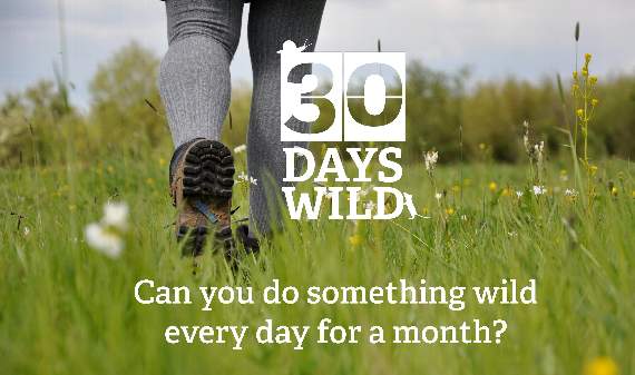 Go wild for 30 days with the Wildlife Trust