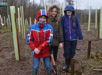 Local students contribute to community tree planting