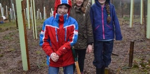 Local students contribute to community tree planting