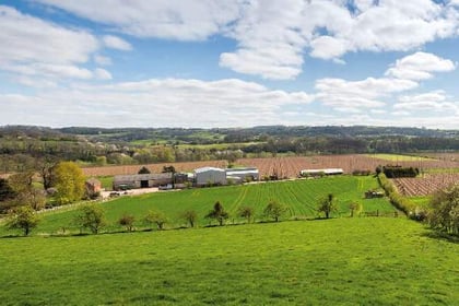 Herefordshire hop farm expanding