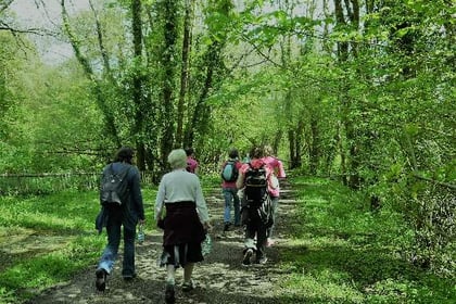 Rotary's popular springtime walk will now take place in September