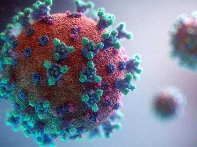 202 further coronavirus cases in Herefordshire