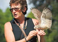 Renowned birds of prey centre closes to visitors