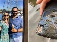 Lost phone returned after year in the river