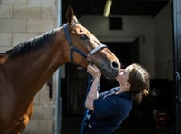 Ross race yards open days