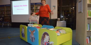 Children’s library corner receives new book boxes