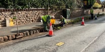 Volunteers turn up to keep their town weed free