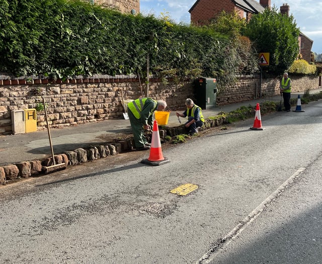 Volunteers turn up to keep their town weed free