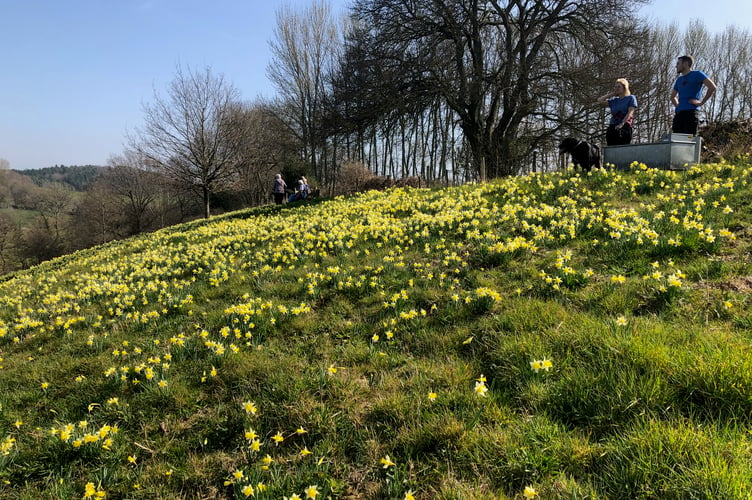 Dymock Daffodil Weekend