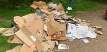 Nearly £2,000 in fines for fibbing fly tipper