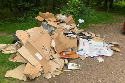 Nearly £2,000 in fines for fibbing fly tipper