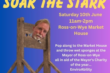 Mayor invites residents to 'Soak the Stark' in fun charity event