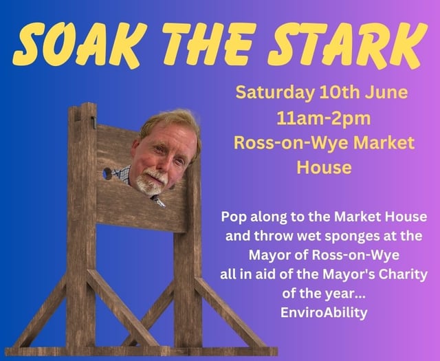 Mayor invites residents to 'Soak the Stark' in fun charity event