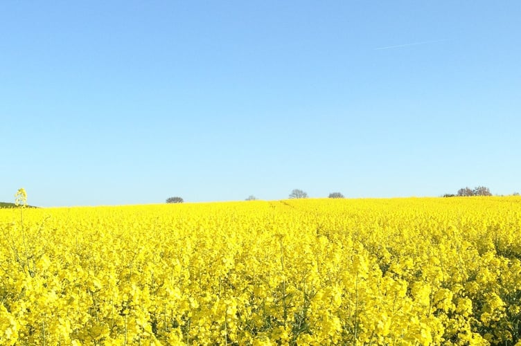 Heat alert upgraded from yellow to amber in West Midlands