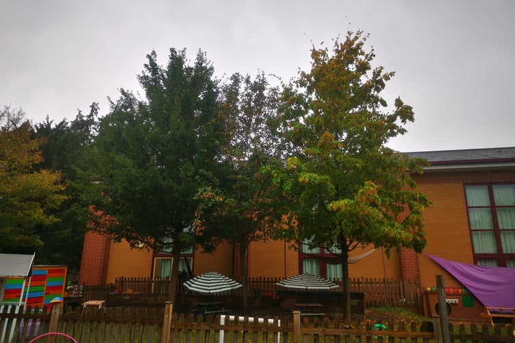 St Joseph's School behind several trees