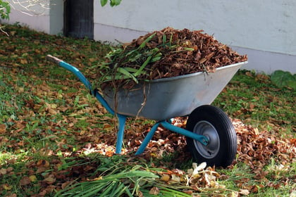 Council proposes £55 annual fee for garden waste collection service