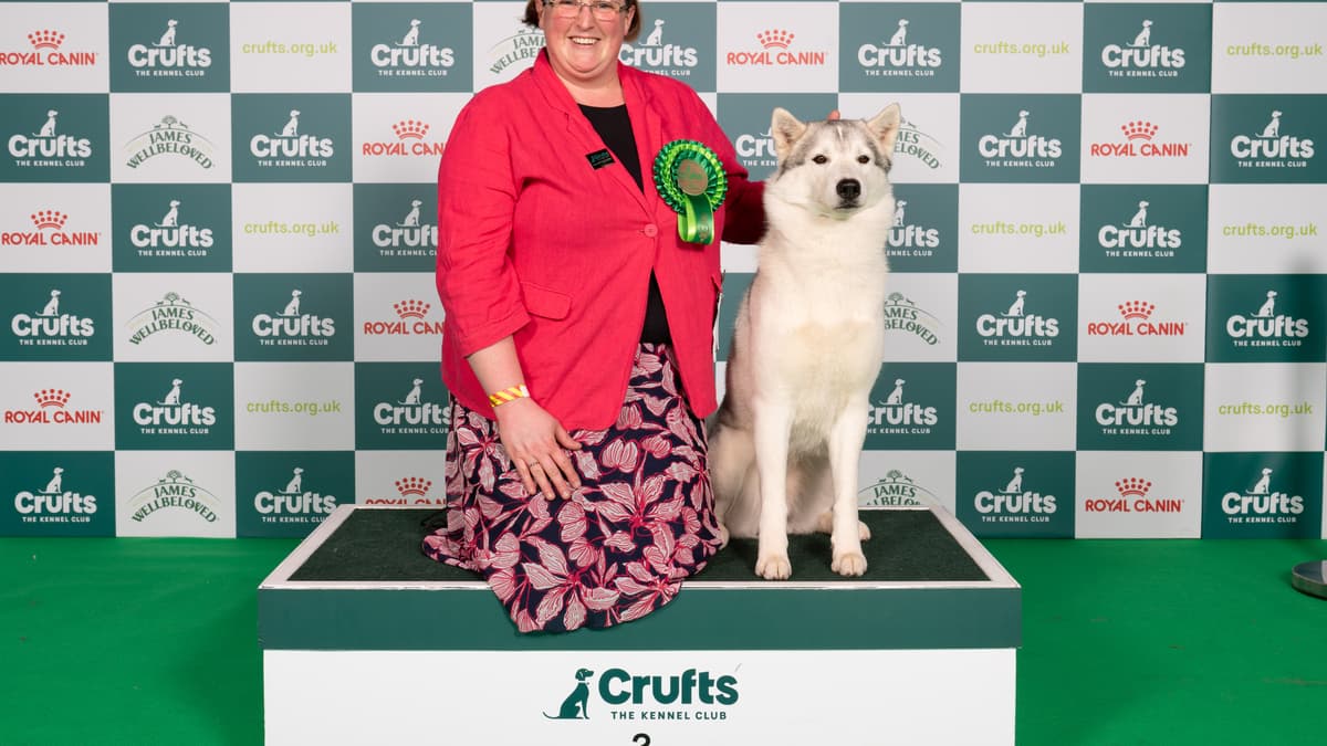 Crufts success for Ross dog owner