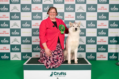 Crufts success for Ross dog owner