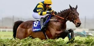 Venetia targets second Grand National upset