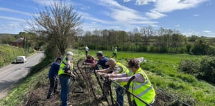 Dymock banks on daffodil restoration project for biodiversity drive
