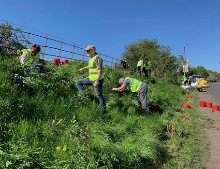 Dymock banks on daffodil restoration project for biodiversity drive ...