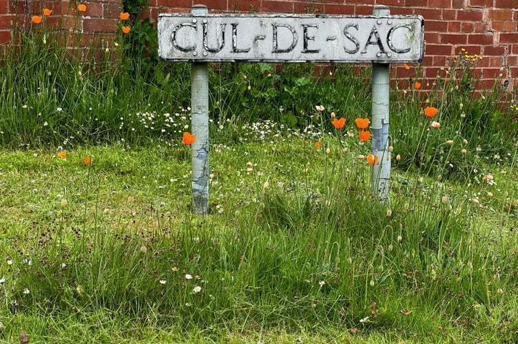 Barbara Nash thanks Hereford Grass cutting Operatives for leaving the wild flowers