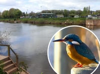 More Wye fishing platforms ‘bad for river’ warns wildlife watchdog