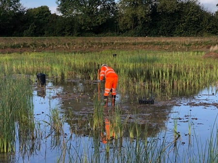 Wetland