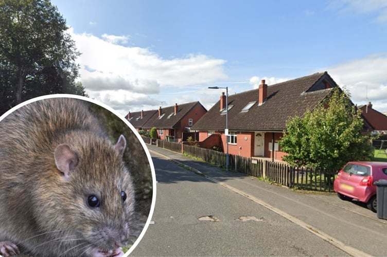 The couple say their housing firm has done nothing to deal with their rat problem