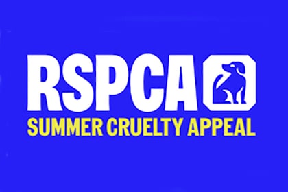 RSPCA reveals 115 animal abuse reports in Herefordshire this year