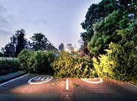 Fallen tree blocked major trunk road