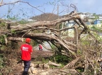 Local tree surgeon helps with Caribbean hurricane clean up