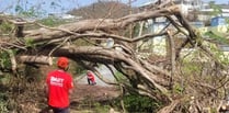 Local tree surgeon helps with Caribbean hurricane clean up