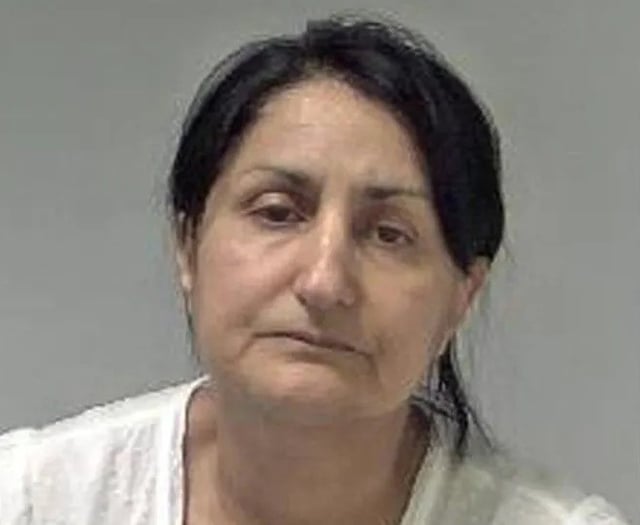 Prolific shoplifter jailed after 'veritable tsunami of dishonesty'