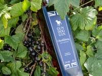 Gun Dog Gin scoops two great taste awards