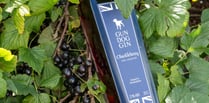 Gun Dog Gin scoops two great taste awards