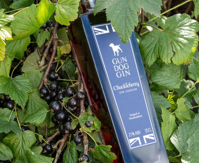 Gun Dog Gin scoops two great taste awards