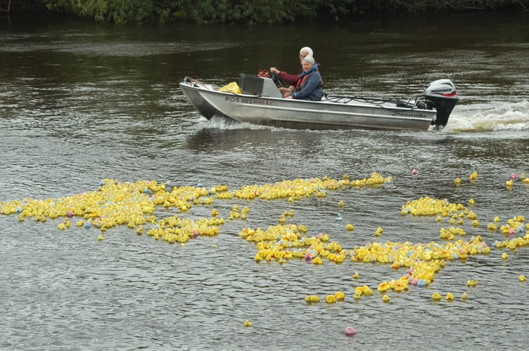 duck race