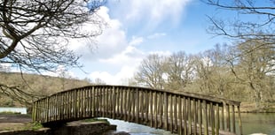 Forestry England provides Cannop Ponds update