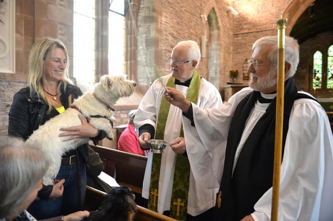 Pets blessing