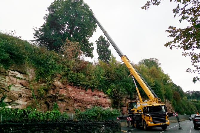 Cliff top tree rescue